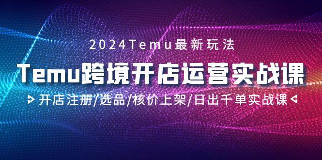 2024Temu跨境开店运营实战课，开店注册/选品/核价上架/日出千单实战课-副业网创