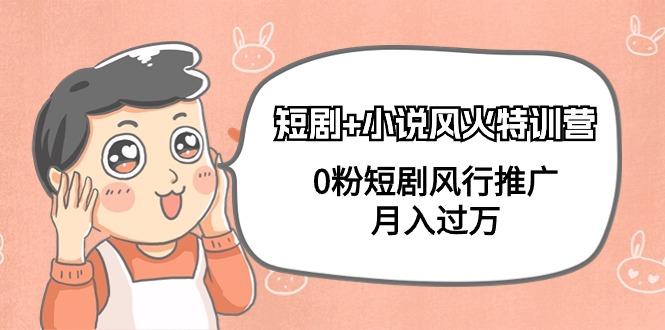 (9374期)短剧+小说风火特训营，0粉短剧风行推广，月入过万(102节课)-副业网创