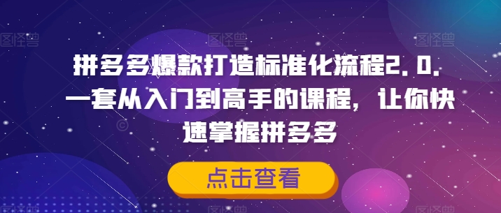 拼多多爆款打造标准化流程2.0，一套从入门到高手的课程，让你快速掌握拼多多-副业网创