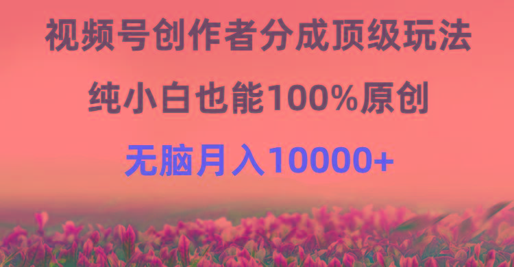 (9608期)视频号创作者分成顶级玩法，纯小白也能100%原创，无脑月入10000+-副业网创