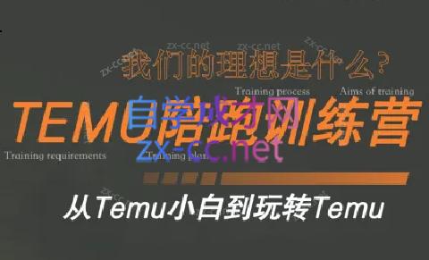 苗苗·拼多多跨境（temu）课程-副业网创