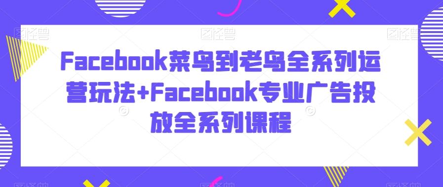 Facebook菜鸟到老鸟全系列运营玩法+Facebook专业广告投放全系列课程-副业网创