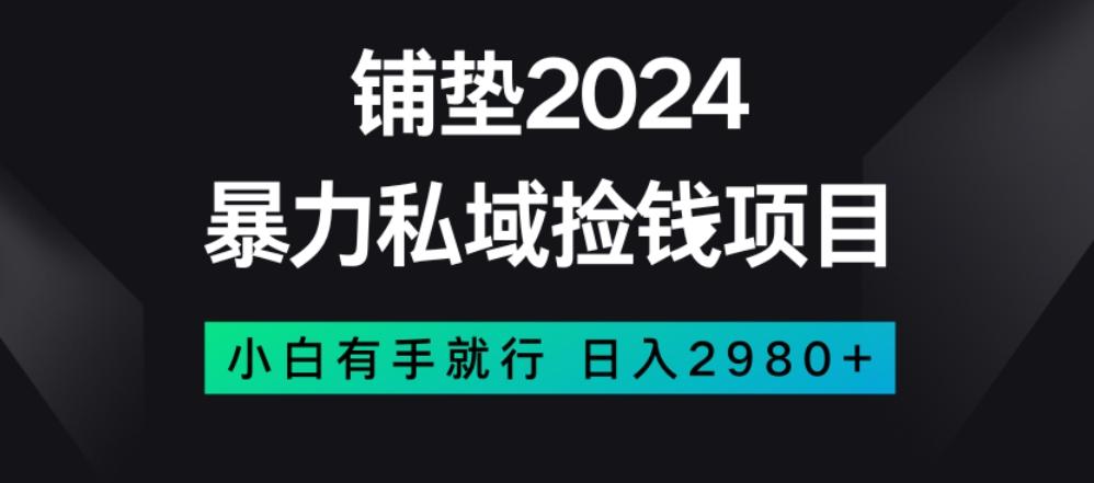 暴力私域捡钱项目，小白无脑操作，日入2980【揭秘】-副业网创