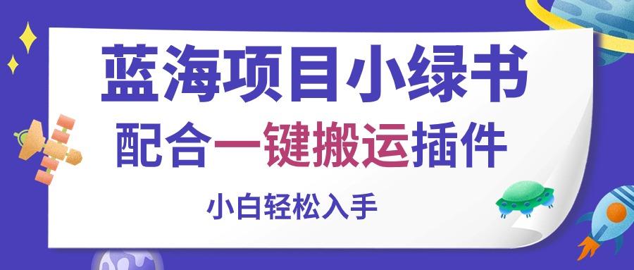 蓝海项目小绿书，配合一键搬运插件，小白轻松入手-副业网创