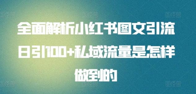 全面解析小红书图文引流日引100+私域流量是怎样做到的【揭秘】-副业网创