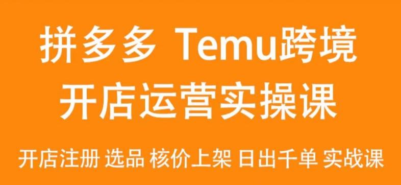 2024Temu最新玩法,Temu跨境开店运营实操课,开店注册/选品/核价上架/日出千单实战课-副业网创