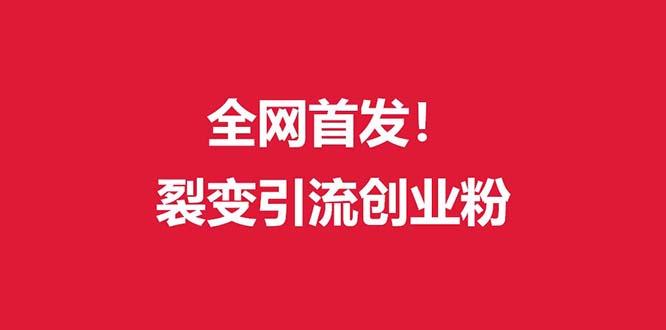 (全网首发)外面收费几千的裂变引流高质量创业粉-副业网创
