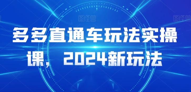 多多直通车玩法实操课，2024新玩法-副业网创