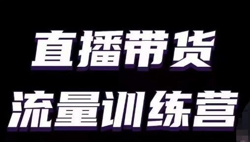直播带货流量训练营，小白主播必学直播课-副业网创