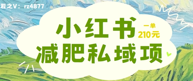 小红书减肥粉，私域变现项目，一单就达210元，小白也能轻松上手【揭秘】-副业网创