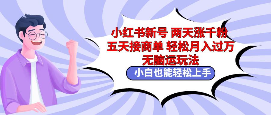 小红书新号两天涨千粉五天接商单轻松月入过万 无脑搬运玩法 小白也能轻…-副业网创