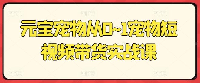 元宝宠物从0~1宠物短视频带货实战课-副业网创