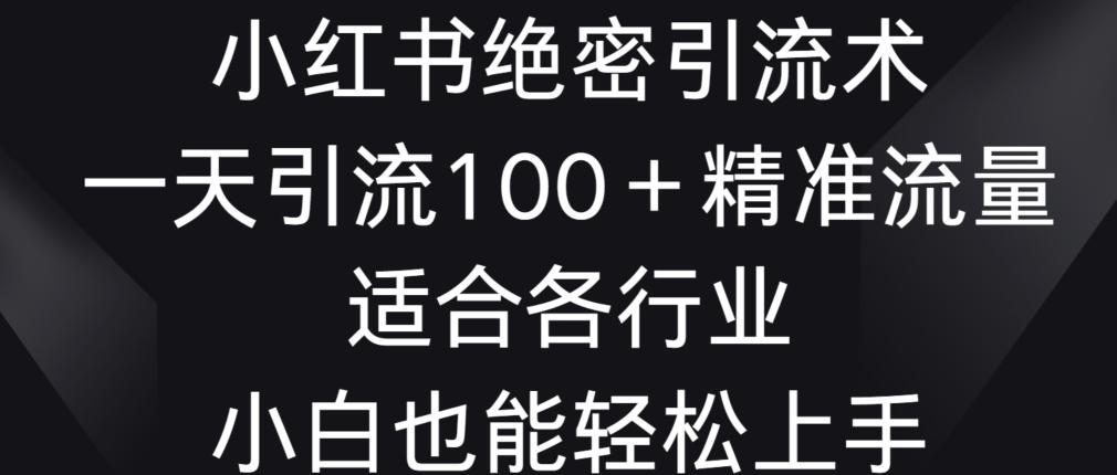 小红书绝密引流术，一天引流100+精准流量，适合各个行业，小白也能轻松上手【揭秘】-副业网创