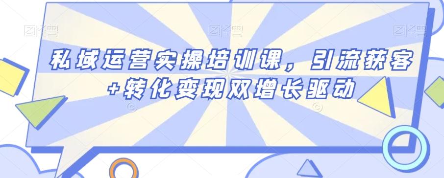 私域运营实操培训课，引流获客+转化变现双增长驱动-副业网创