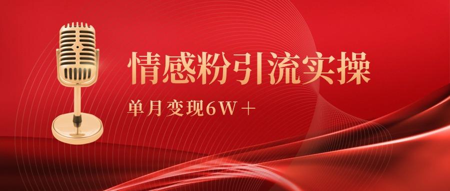 (9473期)单月变现6w+，情感粉引流变现实操课-副业网创