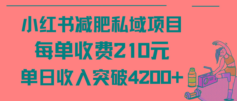 (9466期)小红书减肥私域项目每单收费210元单日成交20单，最高日入4200+-副业网创