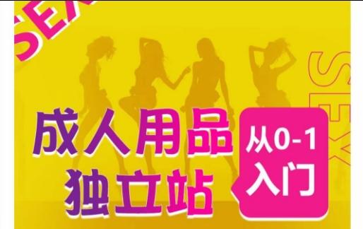 成人用品独立站从0-1入门，成品独立站运营全流程教学，七大好卖成品独立站推荐-副业网创