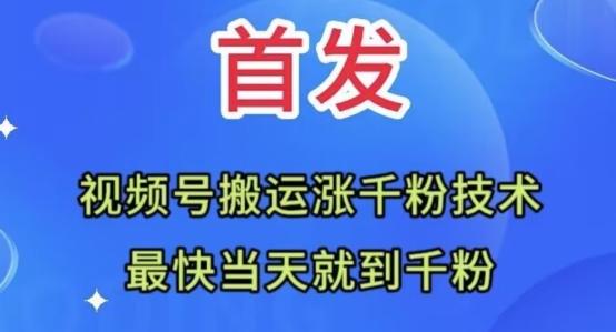 全网首发：视频号无脑搬运涨千粉技术，最快当天到千粉【揭秘】-副业网创