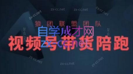狼团联盟·2024视频号带货-副业网创