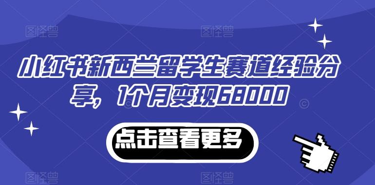 小红书新西兰留学生赛道经验分享，1个月变现68000【揭秘】-副业网创