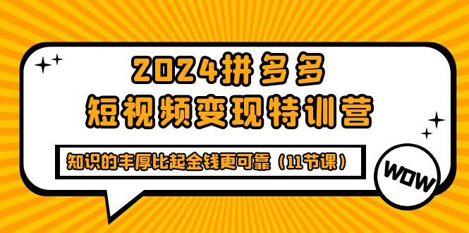 (9817期)2024拼多多短视频变现特训营，知识的丰厚比起金钱更可靠(11节课)-副业网创