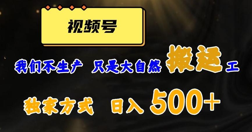 视频号轻松搬运日赚500+，一个1分钟1条原创视频【揭秘】-副业网创
