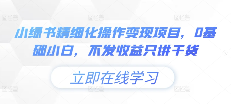 小绿书精细化操作变现项目，0基础小白，不发收益只讲干货-副业网创