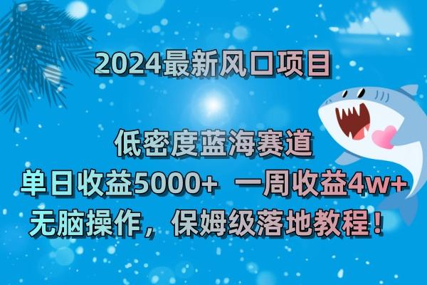 (8545期)2024最新风口项目 低密度蓝海赛道，日收益5000+周收益4w+ 无脑操作，保…-副业网创