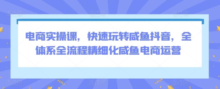 电商实操课，快速玩转咸鱼抖音，全体系全流程精细化咸鱼电商运营-副业网创