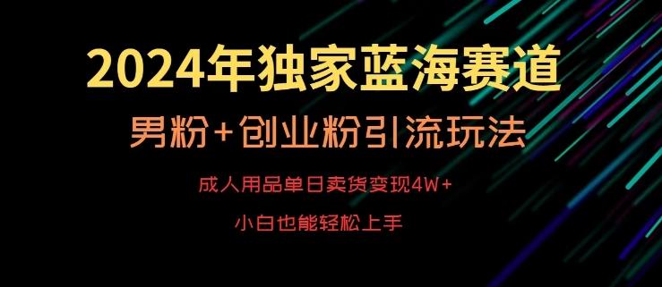 2024年独家蓝海赛道，成人用品单日卖货变现4W+，男粉+创业粉引流玩法，不愁搞不到流量【揭秘】-副业网创