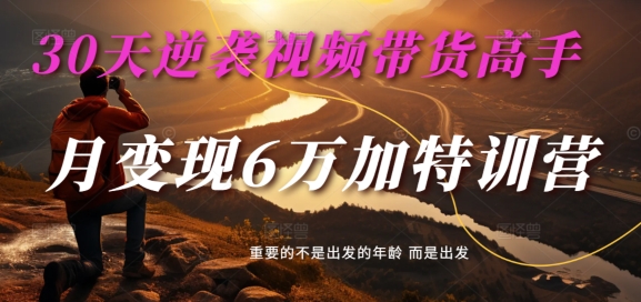 30天逆袭视频带货高手，单月变现6万加特训营-麦子甜-副业网创