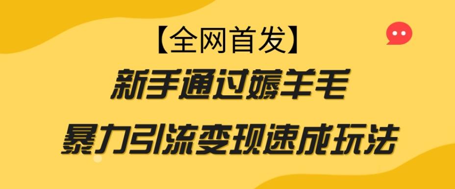 【全网首发】新手通过薅羊毛暴力引流变现速成玩法-副业网创