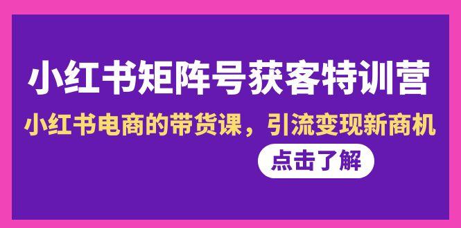 小红书-矩阵号获客特训营-第10期，小红书电商的带货课，引流变现新商机-副业网创
