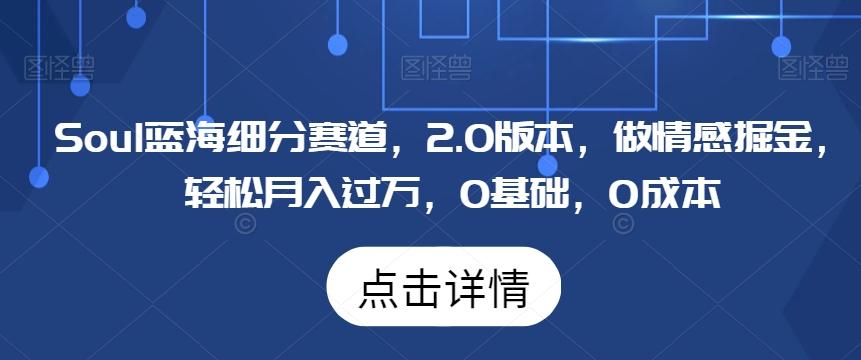 Soul蓝海细分赛道，2.0版本，做情感掘金，轻松月入过万，0基础，0成本-副业网创