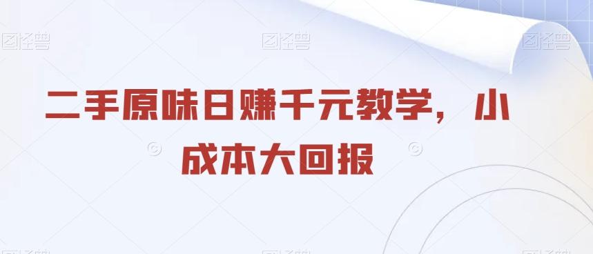 二手原味日赚千元教学，小成本大回报-副业网创