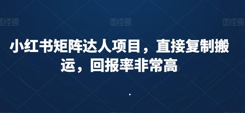 小红书矩阵达人项目，直接复制搬运，回报率非常高-副业网创