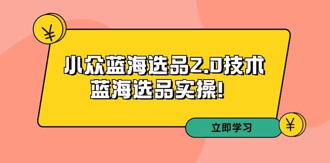 拼多多培训第33期：小众蓝海选品2.0技术-蓝海选品实操！-副业网创