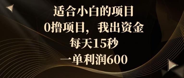 适合小白的项目，0撸项目，我出资金，每天15秒，一单利润600-副业网创