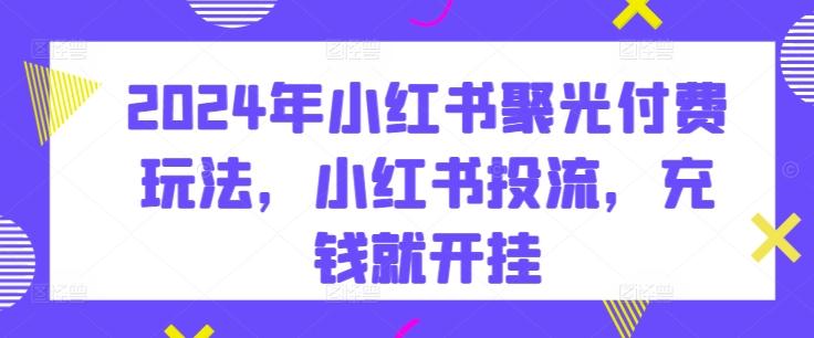 2024年小红书聚光付费玩法，小红书投流，充钱就开挂-副业网创