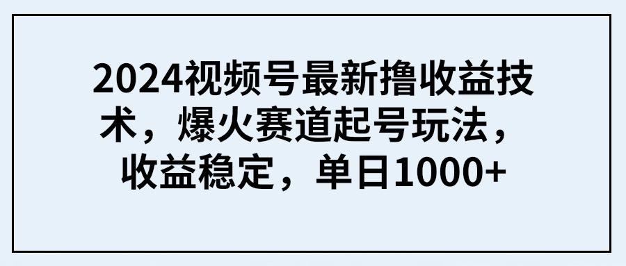 (9651期) 2024视频号最新撸收益技术，爆火赛道起号玩法，收益稳定，单日1000+-副业网创