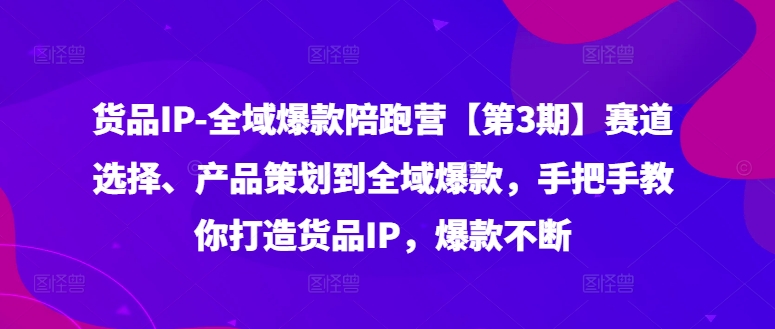 货品IP全域爆款陪跑营【第3期】赛道选择、产品策划到全域爆款，手把手教你打造货品IP，爆款不断-副业网创