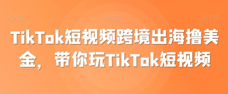 TikTok短视频跨境出海撸美金，带你玩TikTok短视频-副业网创