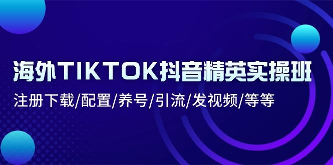 海外TIKTOK抖音精英实操班：注册下载/配置/养号/引流/发视频/等等-副业网创