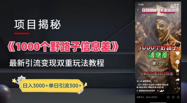 一千个野路子信息差最新玩法教程-变现+引流的玩法具体拆解【揭秘】-副业网创