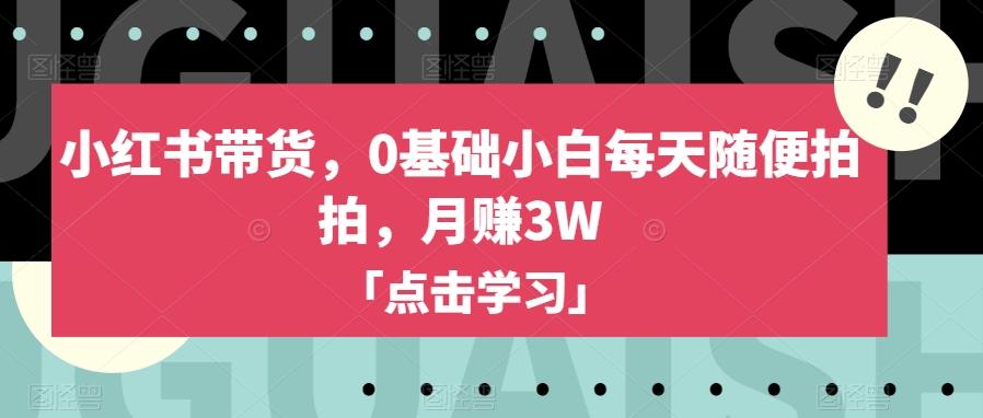 小红书带货，0基础小白每天随便拍拍，月赚3W【揭秘】-副业网创