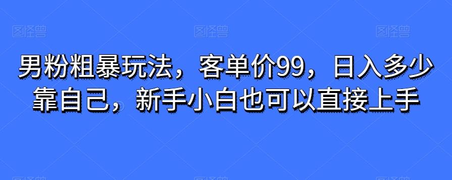 男粉粗暴玩法，客单价99，日入多少靠自己，新手小白也可以直接上手-副业网创