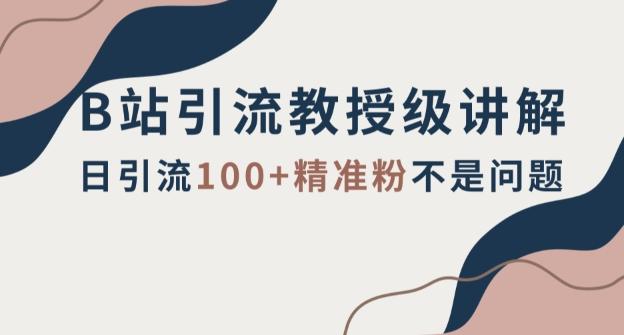 B站引流教授级讲解，细节满满，日引流100+精准粉不是问题【揭秘】-副业网创
