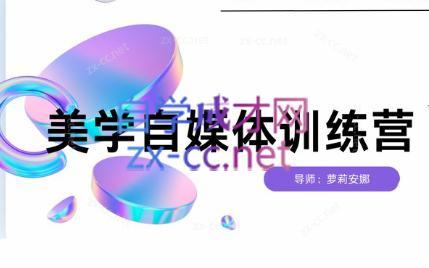 安娜·美学自媒体IP系统课-副业网创