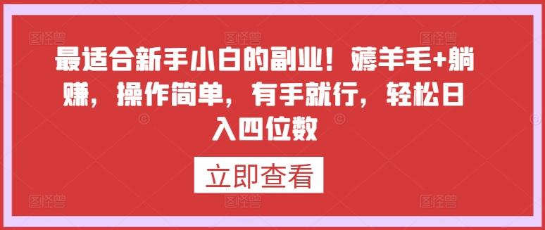 最适合新手小白的副业！薅羊毛+躺赚，操作简单，有手就行，轻松日入四位数【揭秘】-副业网创