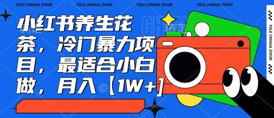 小红书养生花茶，冷门暴力项目，最适合小白做，月入【1W+】-副业网创